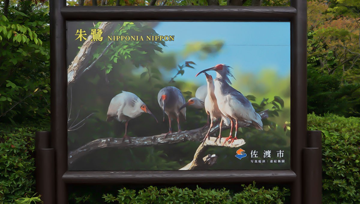 トキの森公園
